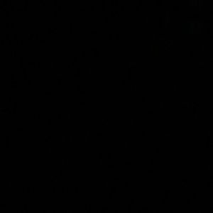 Meet your Posher, Lia